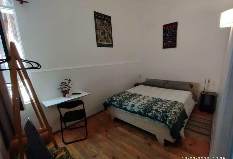 اتاق استاندارد, Escarabajo Hostel   Adults Only