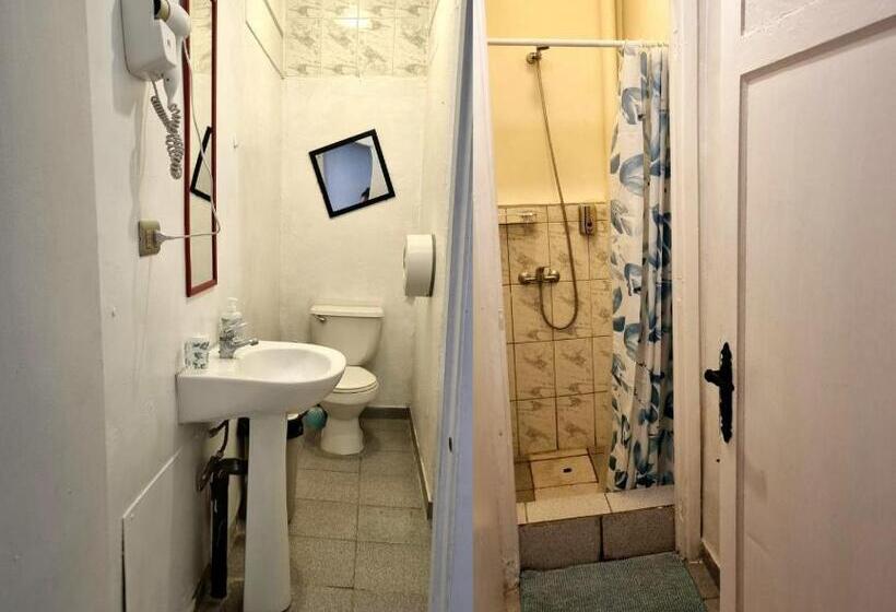 اتاق استاندارد با سرویس بهداشتی مشترک, Escarabajo Hostel   Adults Only