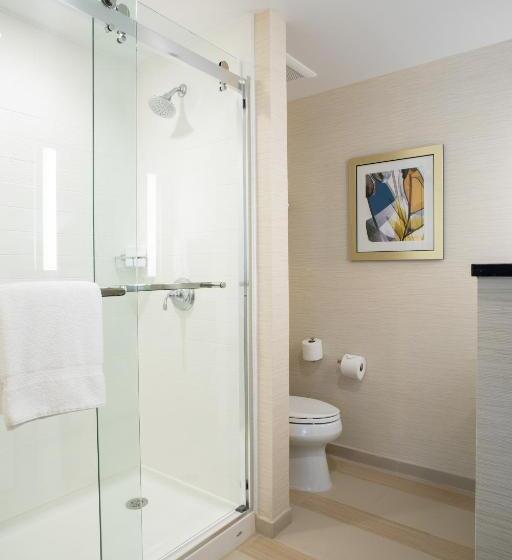 Студио Стандарт Кровать Кинг, Fairfield Inn & Suites By Marriott New York Queens/fresh Meadows