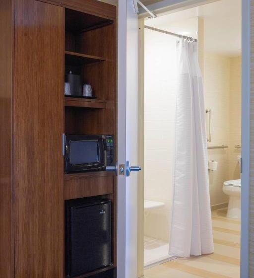 Номер Стандарт Кровать Кинг Адаптированный для Инвалидов, Fairfield Inn & Suites By Marriott New York Queens/fresh Meadows