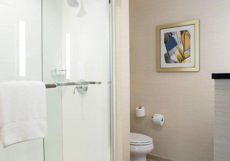 Стандартный Номер Кровать Кинг, Fairfield Inn & Suites By Marriott New York Queens/fresh Meadows