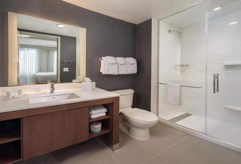 带大床的套房, Residence Inn By Marriott Baltimore At The Johns Hopkins Medical Campus