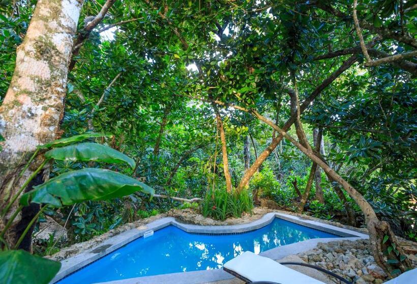 Вилла 1 Спальня Вид на Сад, Savasi Island Resort