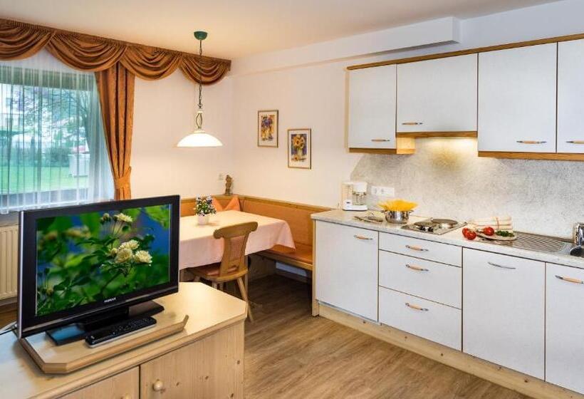Апартаменты 1 Спальня, Apartm. & Bb Ferienidylle Gstrein