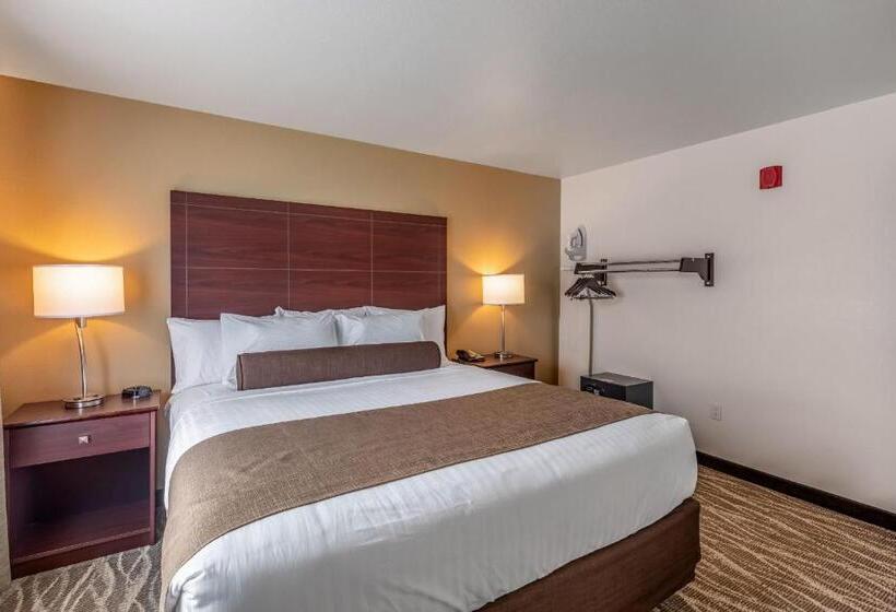 스위트, Cobblestone Hotel & Suites   Stevens Point