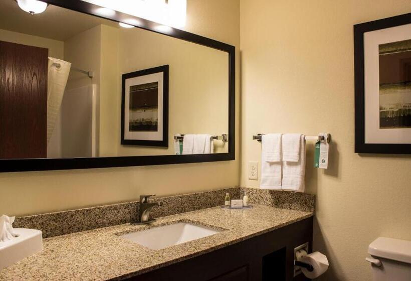 스탠다드 룸, Cobblestone Hotel & Suites   Stevens Point