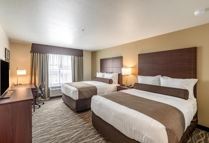 스탠다드 스튜디오, Cobblestone Hotel & Suites   Stevens Point