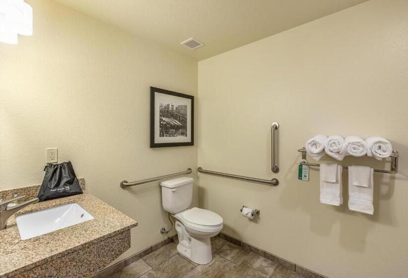 장애인을 위한 스탠다드 룸, Cobblestone Hotel & Suites   Stevens Point