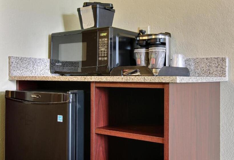 장애인을 위한 스탠다드 룸, Cobblestone Hotel & Suites   Stevens Point