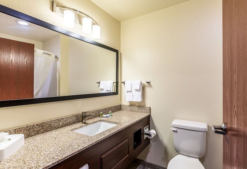 스위트, Cobblestone Hotel & Suites   Stevens Point