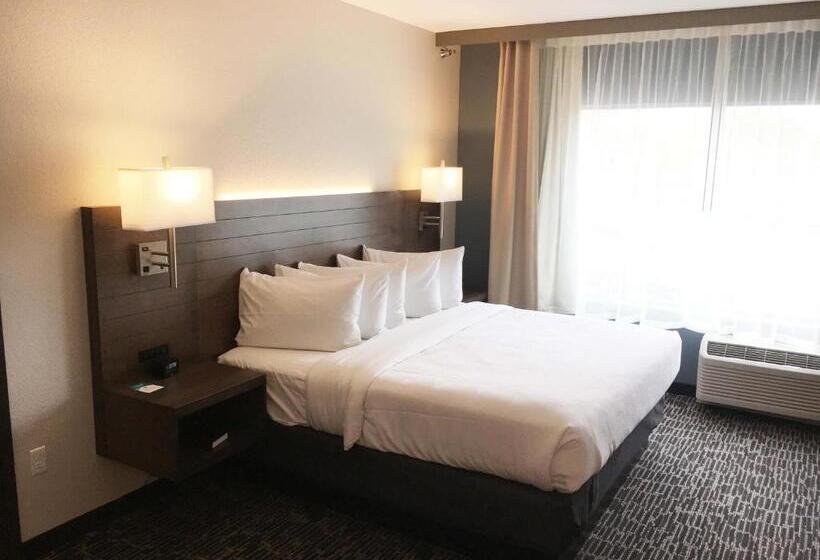 Студио Стандарт Кровать Кинг, Gundersen Hotel & Suites