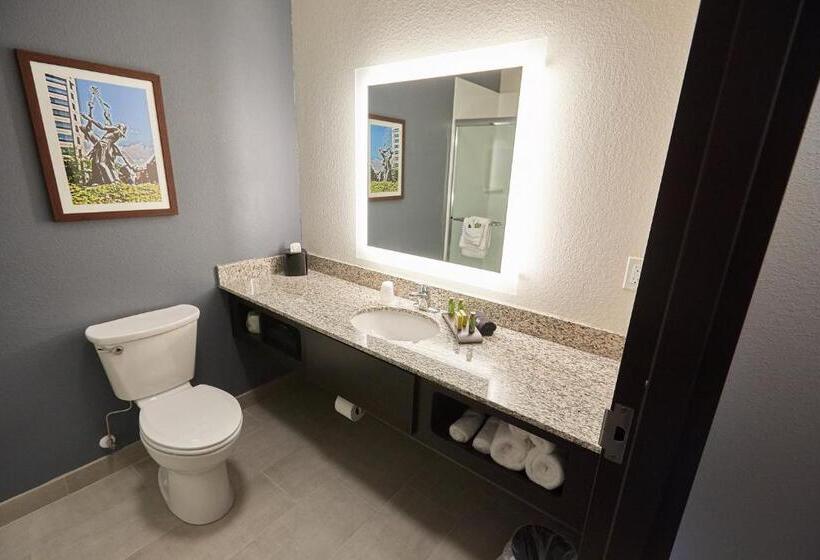 חדר סטודיו סטנדרד, Gundersen Hotel & Suites
