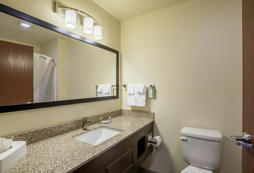 스탠다드 스튜디오, Cobblestone Hotel & Suites   Stevens Point