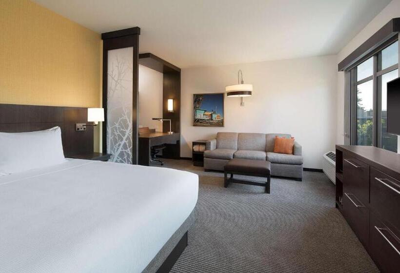 스탠다드 룸 수피리어 층, Hyatt Place Santa Cruz