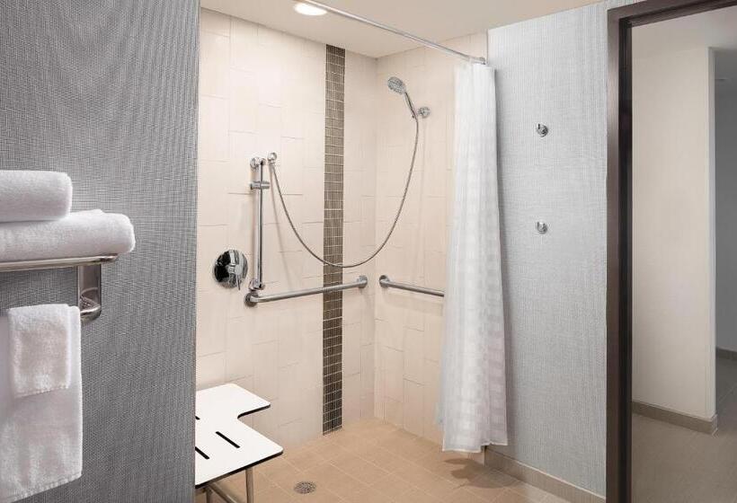 장애인을 위한 킹사이즈 침대 스탠다드 룸, Hyatt Place Santa Cruz