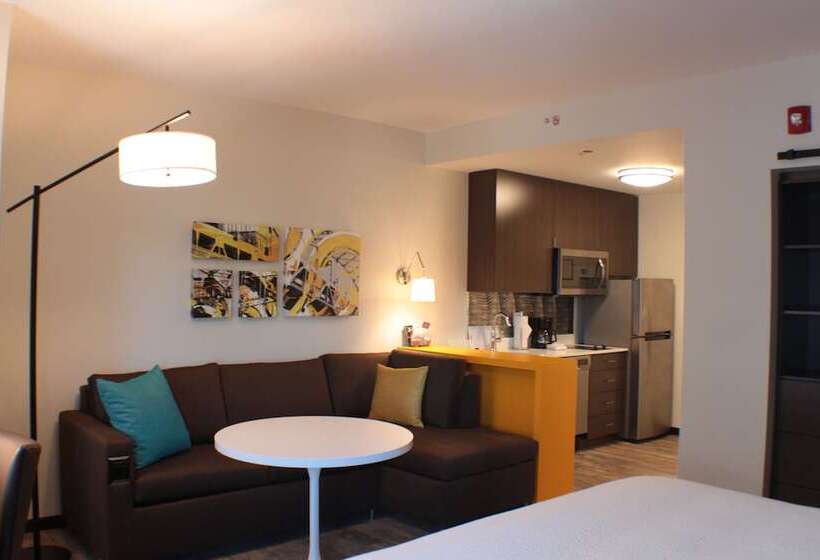 带2个卧室的套房, Residence Inn By Marriott Pittsburgh Oakland/university Place