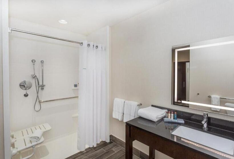 Номер Стандарт Кровать Кинг Адаптированный для Инвалидов, Wingate By Wyndham Miami Airport