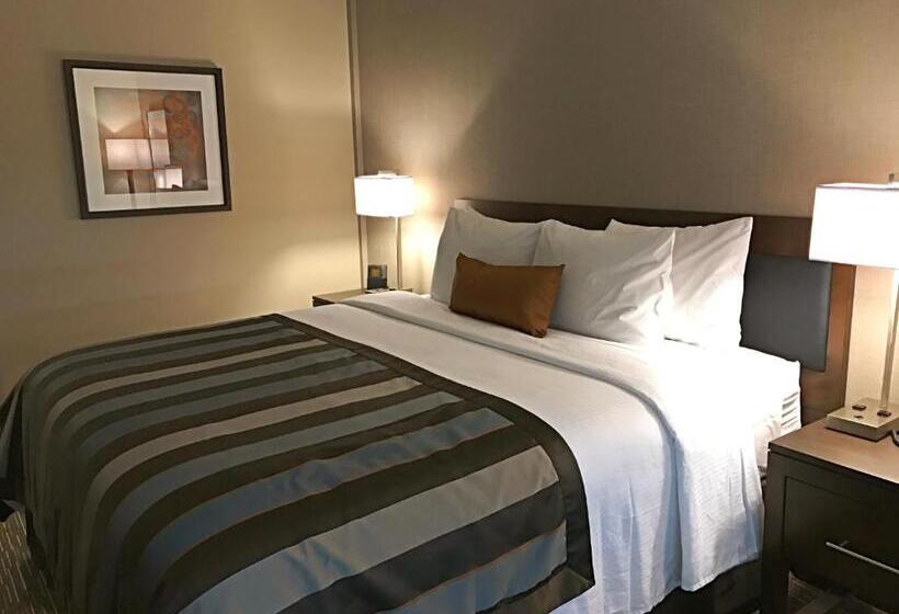 Люкс Кровать Кинг, Wingate By Wyndham Miami Airport