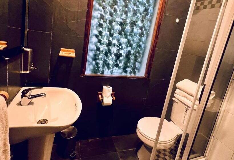 스탠다드 룸, Casona Montt 522   B&b
