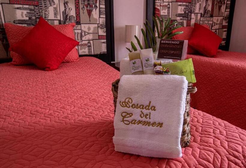 غرفة قياسية, Posada Del Carmen