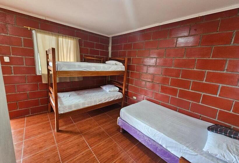 패밀리 룸, Camping Hostel