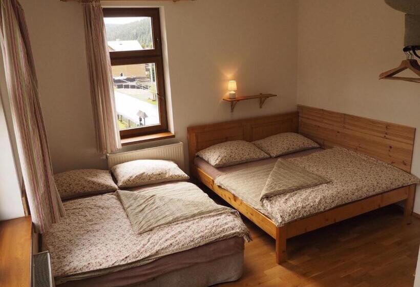 Апартаменты 1 Спальня, Apartmány Javorka