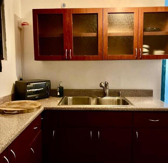 آپارتمان 1 خوابه, Dorado White House Private Suite