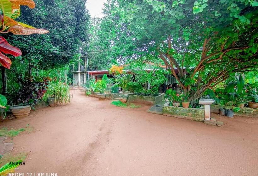 Номер Стандарт Вид на Горы, Travels First Sigiriya Hostel