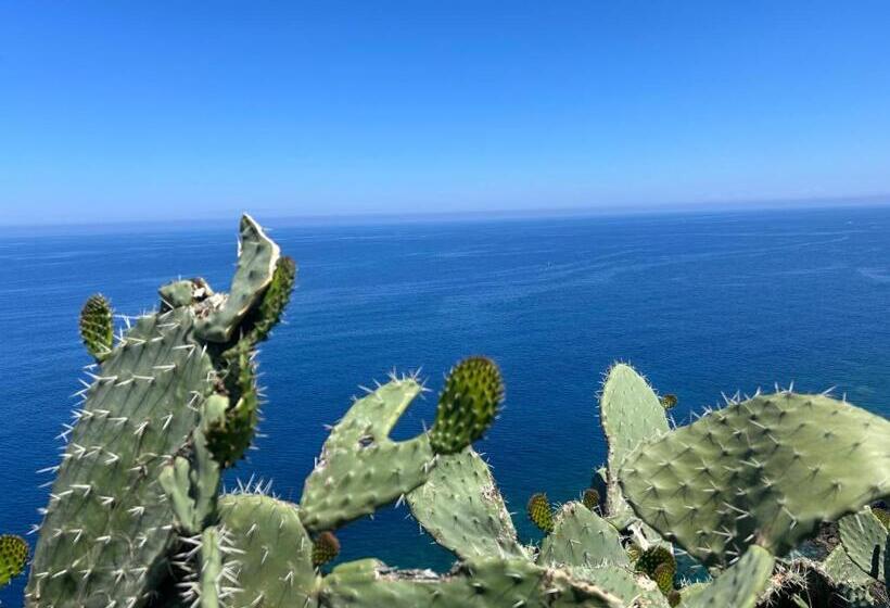 Apartamento 1 Dormitório Vista Jardim, Oltre   Dove Cielo E Mare Si Uniscono