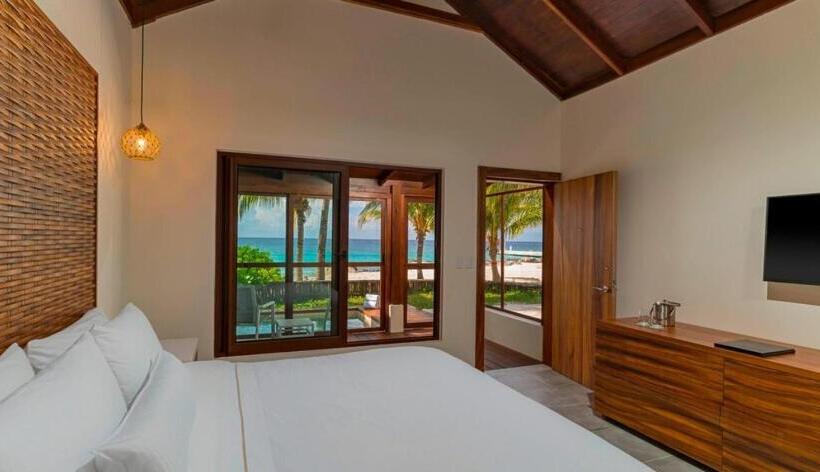 Standard Studio King Bed, The Westin Cozumel