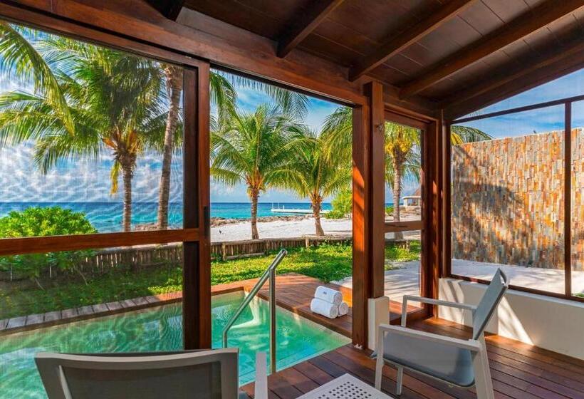 Standard Studio King Bed, The Westin Cozumel
