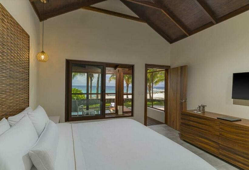 Standard Studio King Bed, The Westin Cozumel