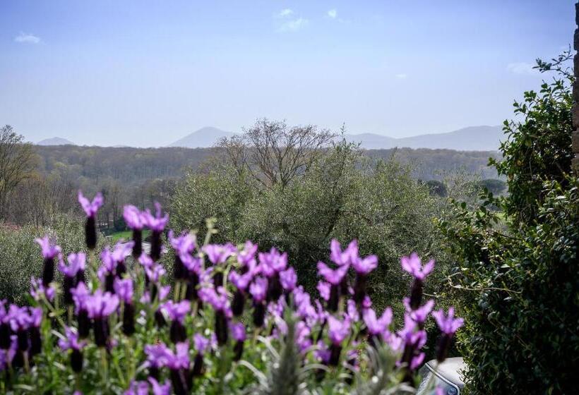 스탠다드 룸, Villa Rossella