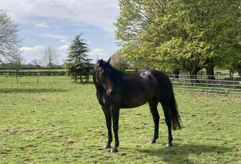 四人标准间, Highfield Farm