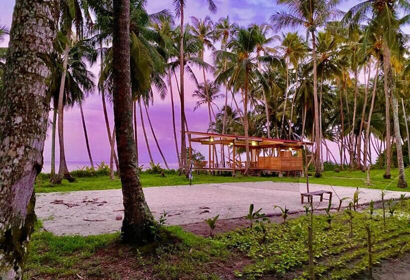 豪华海景房, Pinang Island   Private Island Sea View Bungalows