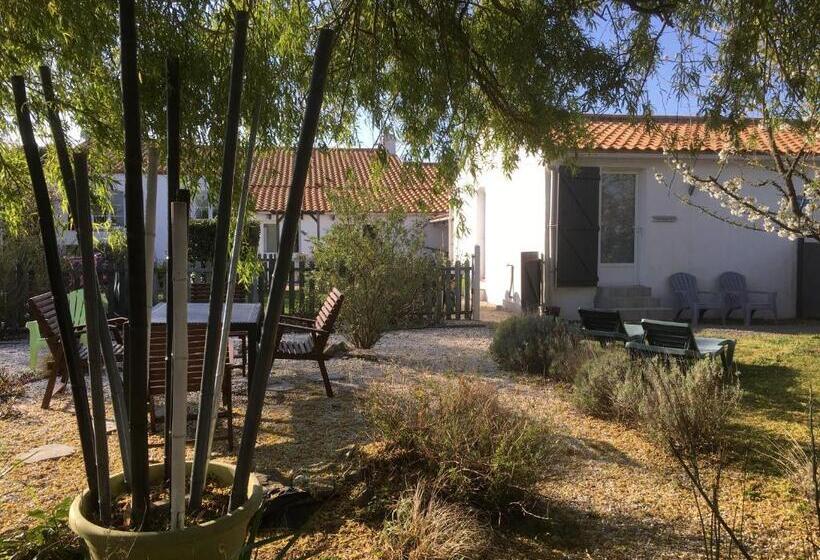Номер Стандарт, Studio Charleston