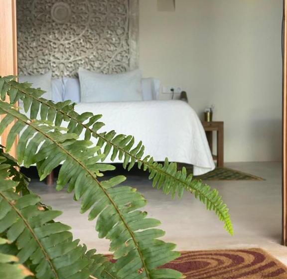 جناح, Boho Suites Denia