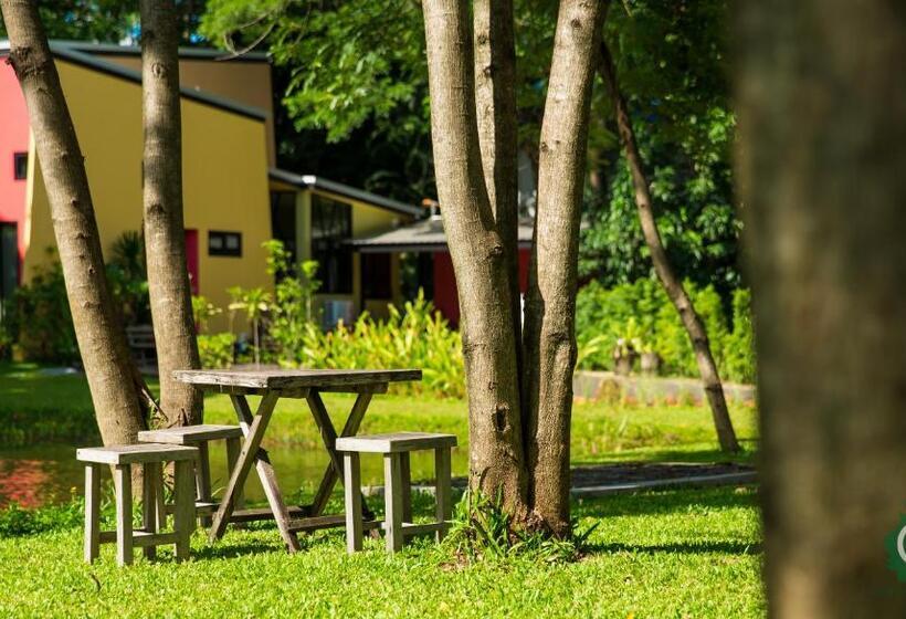 Номер Стандарт, Green@buriram