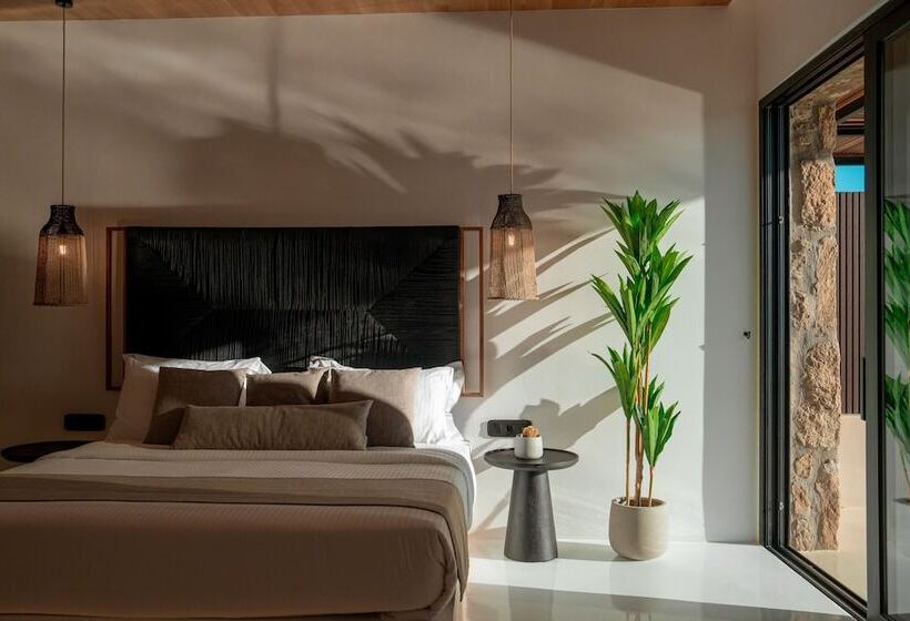 Президентский Люкс, Ftelia Black Villas