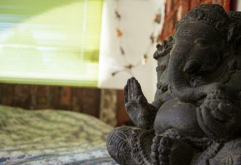 اتاق استاندارد, Crazy Lounge B&b