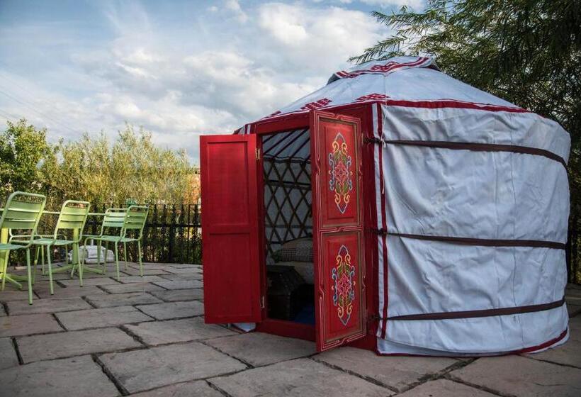 اتاق خانوادگی, Crazy Lounge B&b