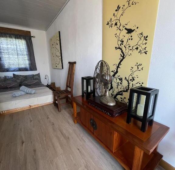 بانگلوی استاندارد, Crazy Lounge B&b