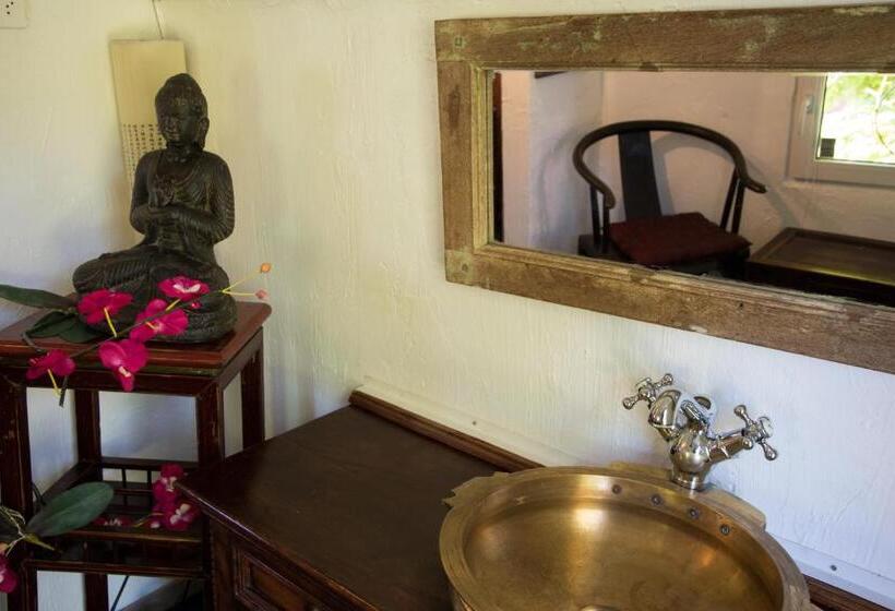 اتاق استاندارد, Crazy Lounge B&b