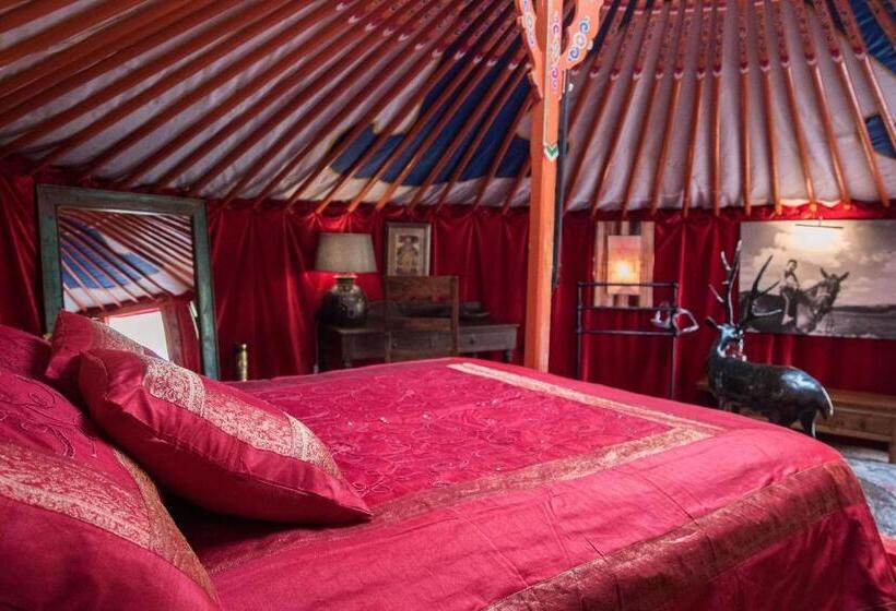 اتاق خانوادگی, Crazy Lounge B&b