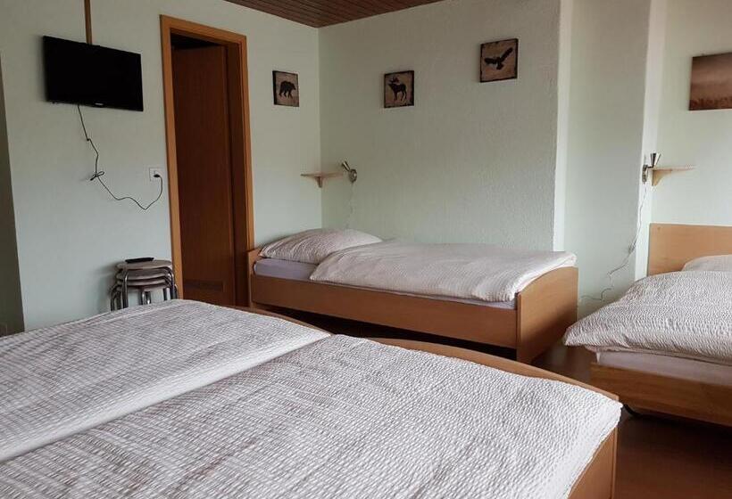 Четырехместный Номер Стандарт, Garni Hotel Mühletal
