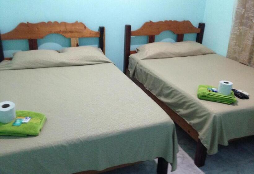ベーシックルーム, Chaac Calakmul