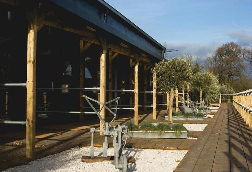 Номер Стандарт, Owen House Farm