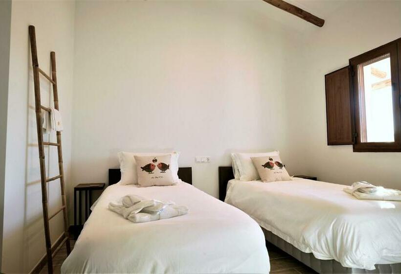 Family Suite, El Amparo