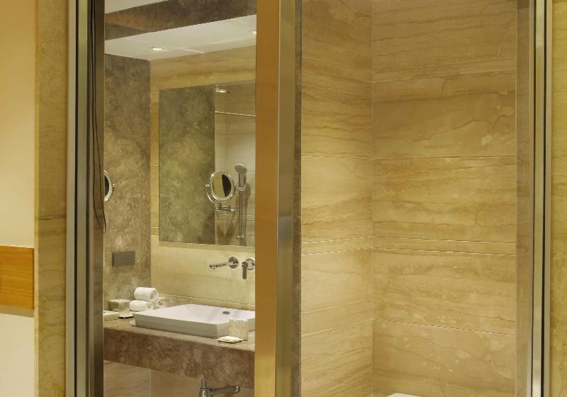 اتاق کلاس بیزنس, Radisson Blu Jammu