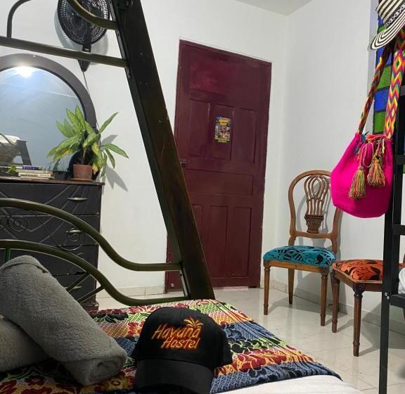 ファミリールーム, Havana Hostel Cali & Dance School